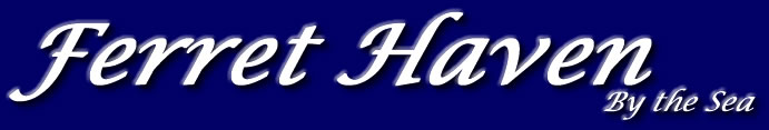 Ferret Haven Logo